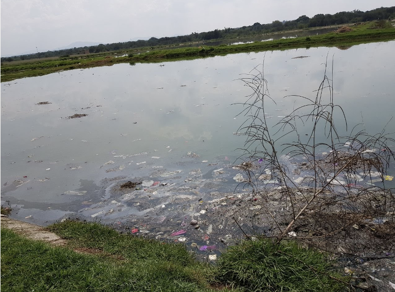 Special Environmental Services